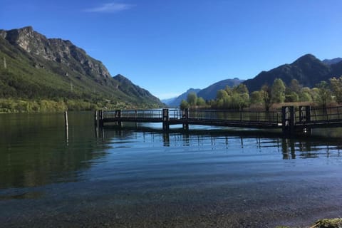 Region [summer] (&gt;5 km)