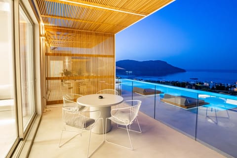 Superior Villa | Balcony view