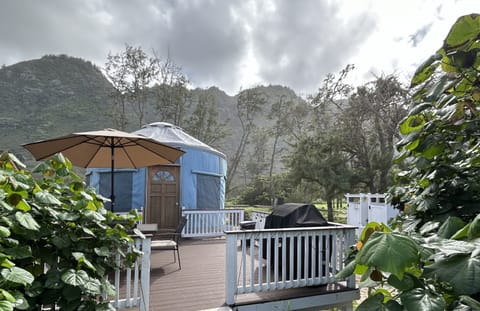 Tent (Yurt) | Living area