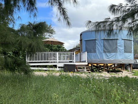 Tent (Yurt) | Living area