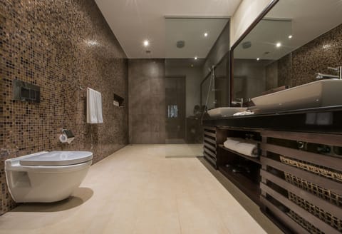 Suite | Bathroom | Hydromassage showerhead, free toiletries, hair dryer, bathrobes