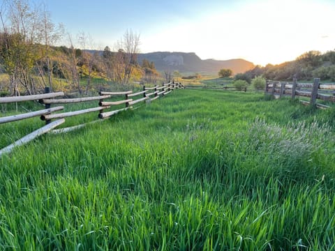 Plenty of walking trails and room to roam on the property