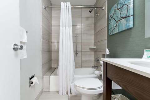 Mini-Suite | Bathroom | Combined shower/tub, free toiletries, hair dryer, towels