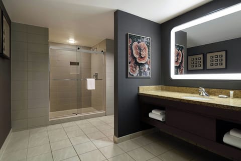 Free toiletries, hair dryer, towels