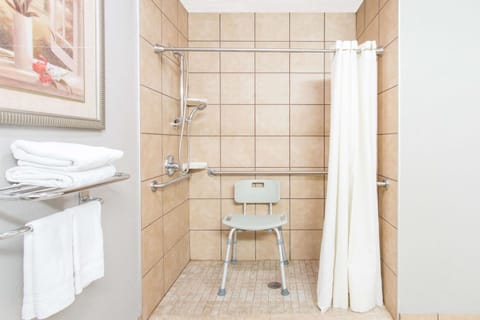 Room, Accessible | Bathroom shower