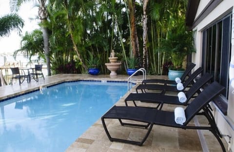 Outdoor pool, sun loungers