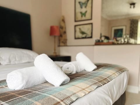 Deluxe Double or Twin Room | Individually decorated, iron/ironing board, free WiFi, bed sheets