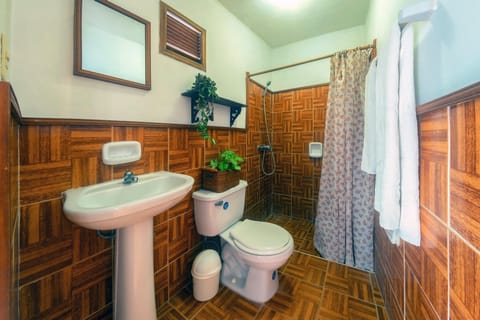 Comfort Double Room | Bathroom | Shower, rainfall showerhead, hair dryer, towels