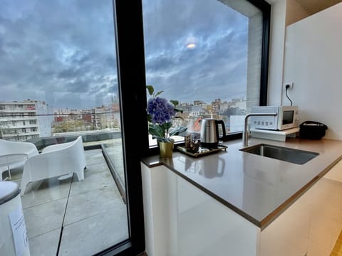 Deluxe Apartment, 2 Bedrooms | Private kitchen | Fridge, oven, stovetop, electric kettle