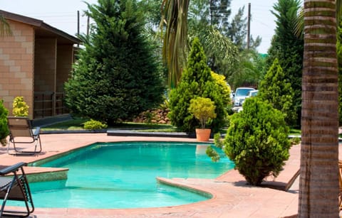 Outdoor pool, pool umbrellas, sun loungers