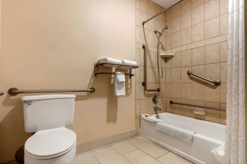 Standard Room, 1 King Bed, Accessible, Non Smoking (Bathtub) | Bathroom | Combined shower/tub, eco-friendly toiletries, towels