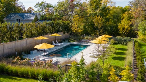 Seasonal outdoor pool, pool umbrellas, sun loungers