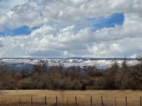 Land view from property