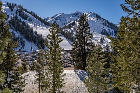 Views of KT from the covered deck
