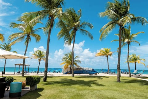 On the beach, sun loungers, beach umbrellas, beach towels