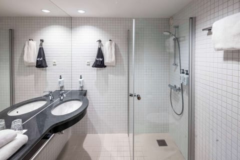 Hair dryer, towels, soap, shampoo