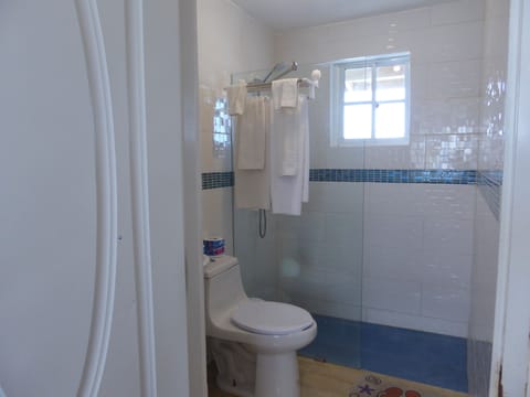 Presidential Apartment | Bathroom | Shower, designer toiletries, hair dryer, towels