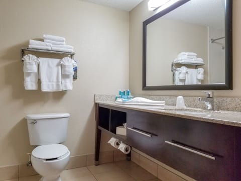Standard Room, 1 King Bed, Accessible, Bathtub (Communications) | Bathroom | Free toiletries, hair dryer, towels, soap