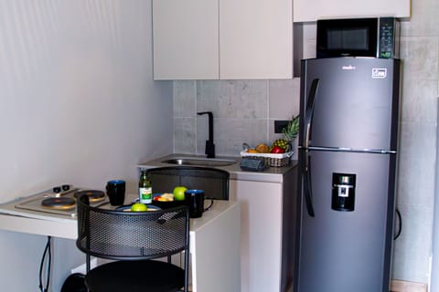 Basic Double Room | Private kitchen | Full-size fridge, microwave, freezer