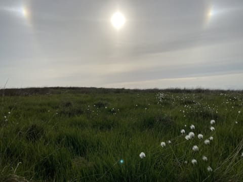 Fellside view 2022. Sun Dogs and cotton grass