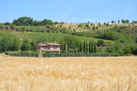 Villa Chiara, private villa with pool near Marsciano (5)