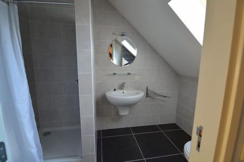 Shower, rainfall showerhead, hair dryer, soap