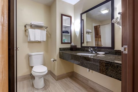 Standard Room, 1 King Bed, Accessible, Refrigerator & Microwave | Bathroom | Combined shower/tub, free toiletries, hair dryer, towels