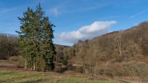 View to Lake, Quarry Lodge, Bolthole Retreats