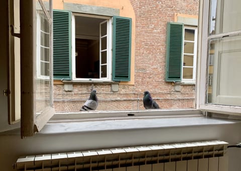 Standard Double Room | View from room