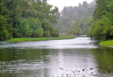 Land view from property
