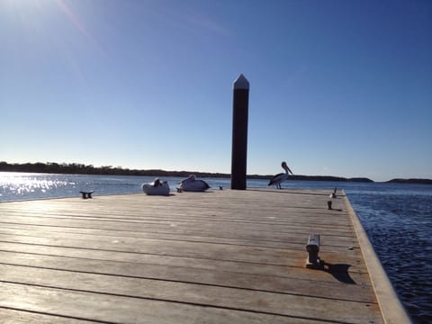 Dock