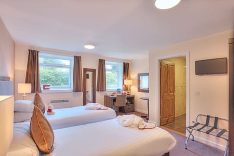 Standard Twin Room, 2 Twin Beds | View from room