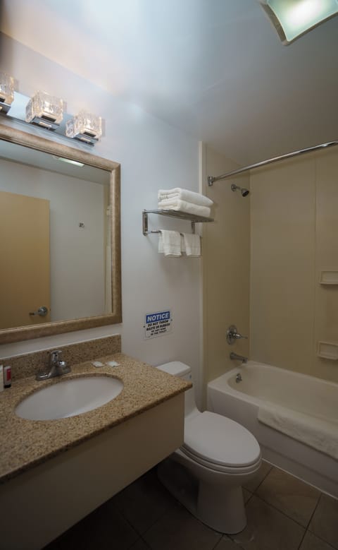 Business Suite | Bathroom | Combined shower/tub, hair dryer, towels, soap