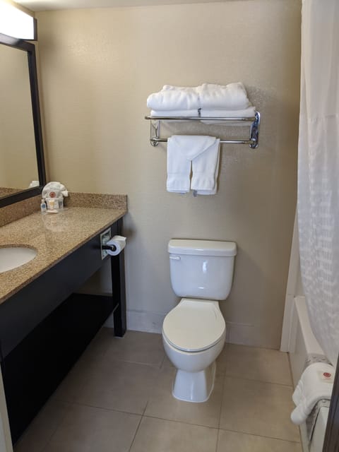 Combined shower/tub, free toiletries, hair dryer, towels