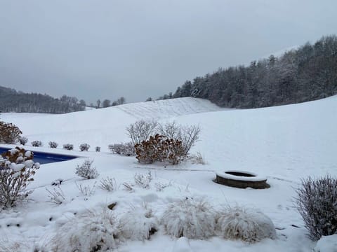Fun hill behind the house for sledding! Bring a sled!