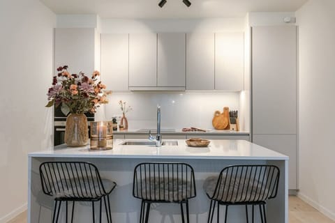 Modern fully equipped kitchen