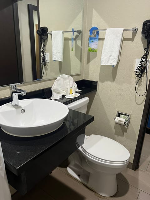 Combined shower/tub, free toiletries, hair dryer, towels