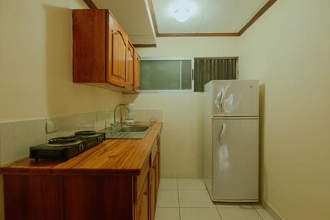 Standard Apartment, 2 Bedrooms | Private kitchen | Electric kettle, rice cooker, paper towels