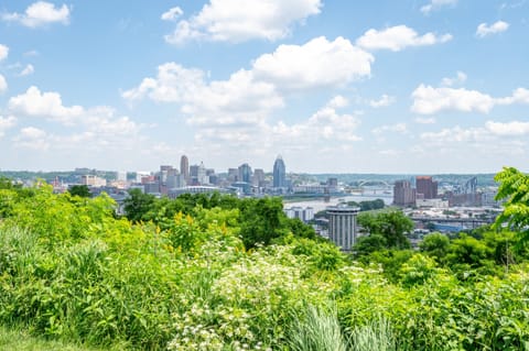 City view from property