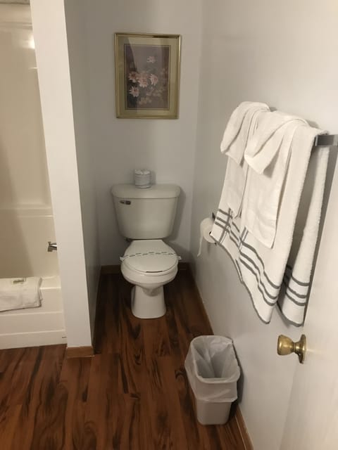 Double Room, 2 Queen Beds | Bathroom | Towels