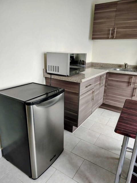 Junior Room | Private kitchen | Mini-fridge