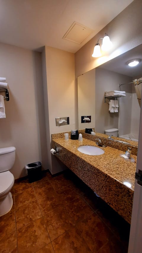 Double Room | Bathroom | Combined shower/tub, free toiletries, hair dryer, towels