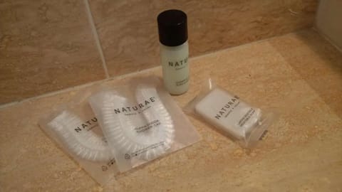 Single Room | Bathroom | Shower, hair dryer, towels