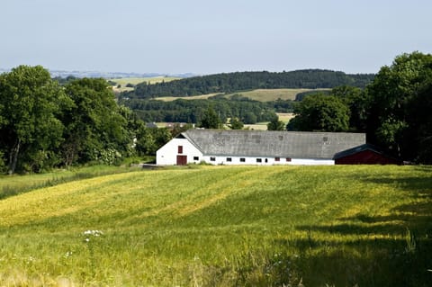 Land view from property