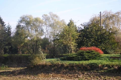 Region [summer] (&gt;5 km)