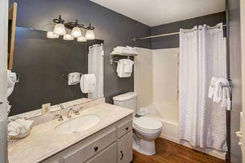 Suite, 1 Bedroom, Kitchen | Bathroom | Combined shower/tub, eco-friendly toiletries, hair dryer, towels