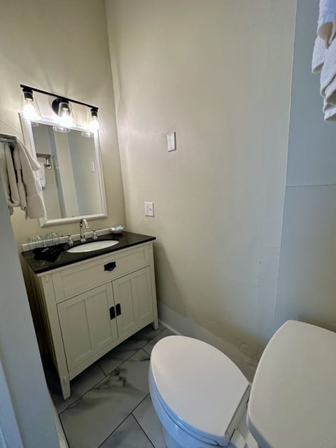 Deluxe Room | Bathroom | Free toiletries, hair dryer, towels