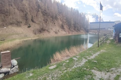 Immediate Surroundings [summer] (&lt;1 km)