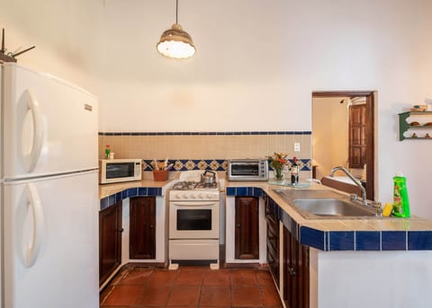 Classic Apartment | Private kitchen | Full-size fridge, microwave, dishwasher, blender