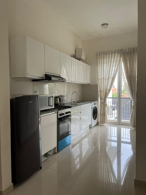 Deluxe Apartment | Private kitchen | Fridge, oven